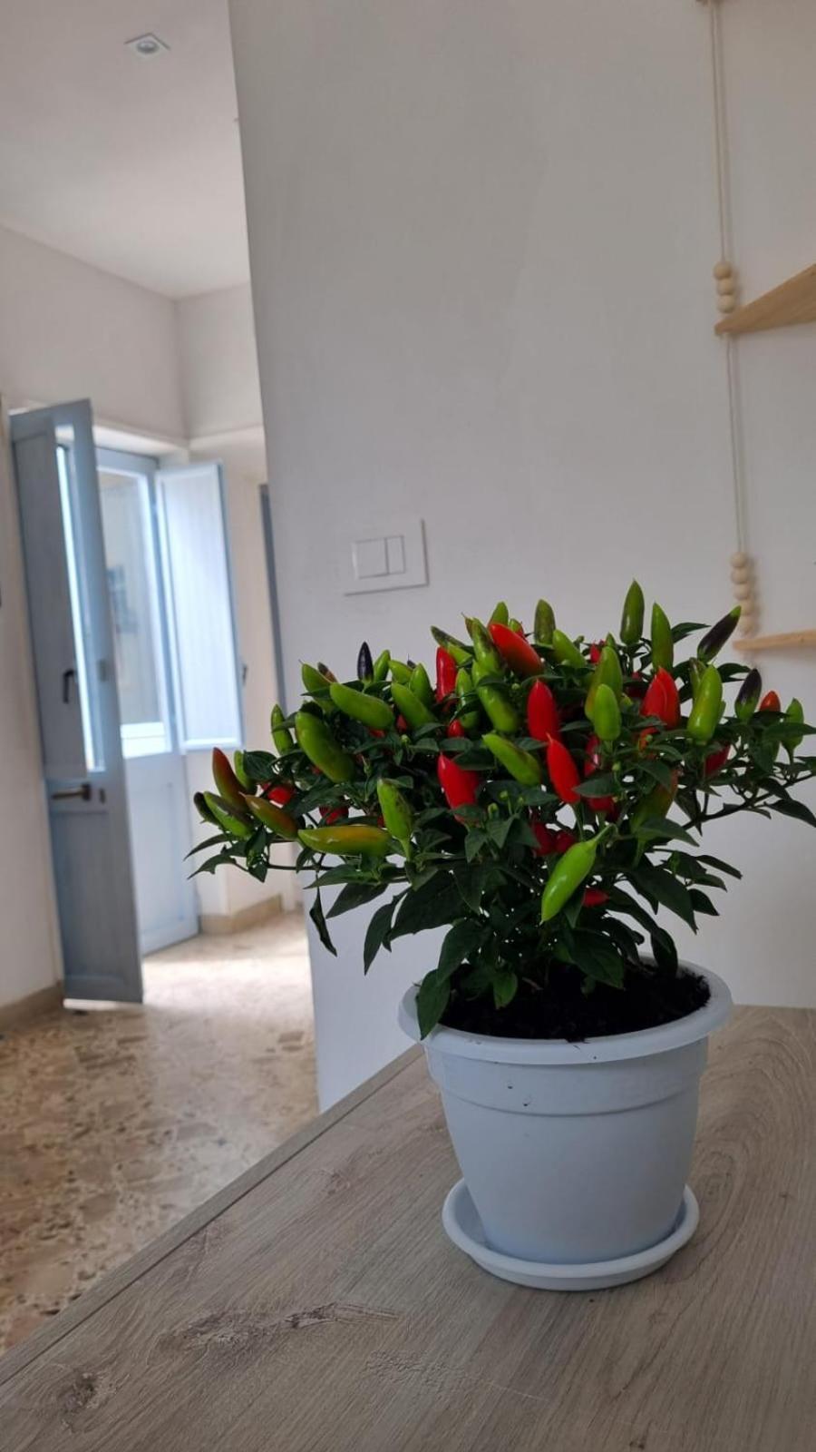 Il Fico D'India Appartement Marsala Buitenkant foto