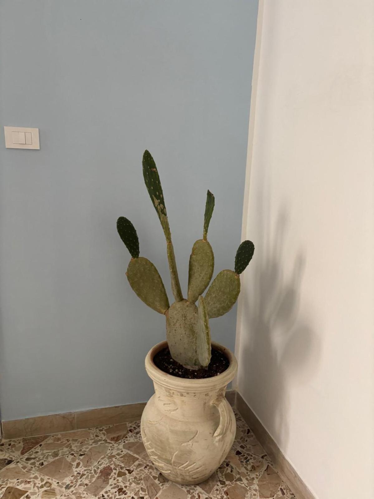 Il Fico D'India Appartement Marsala Buitenkant foto